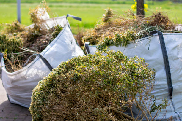 Best Same-Day Junk Removal  in Mannington, WV
